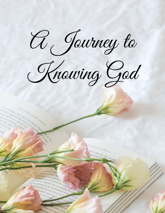 A Journey to Knowing God – Guided Bible Study Journal