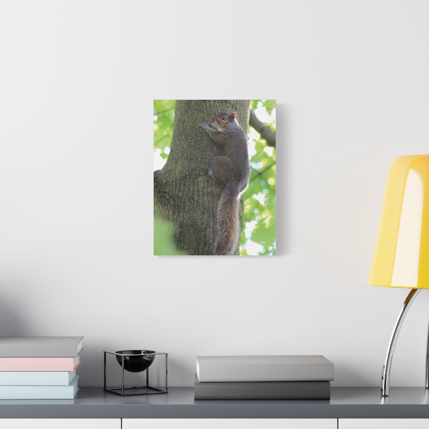 Squirrel Art Print, Nature Decor, Animal Photography, Wall Art, Home Decor, Gift for Animal Lovers, Woodland Theme