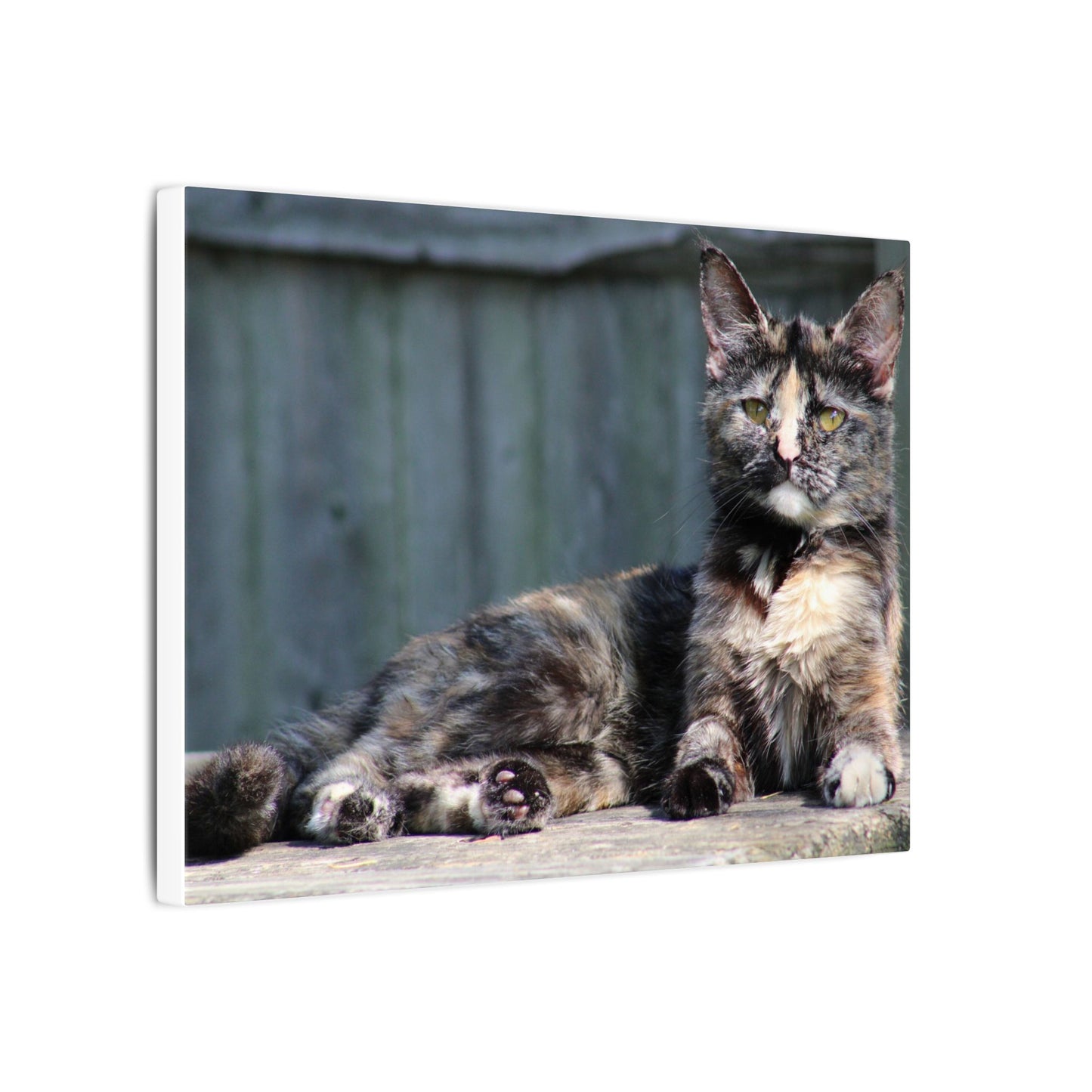 Cat Wall Art Print, Matte Canvas Decoration, Pet Lover Gift, Home Decor, Feline Artwork, Cat Lover Wall Decor